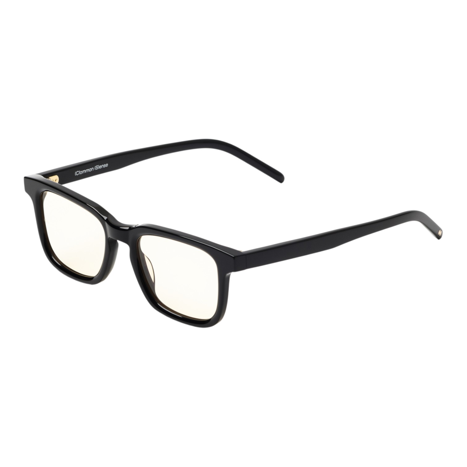 Common Sense Siyah Unisex Güneş Gözlüğü - Görsel 2