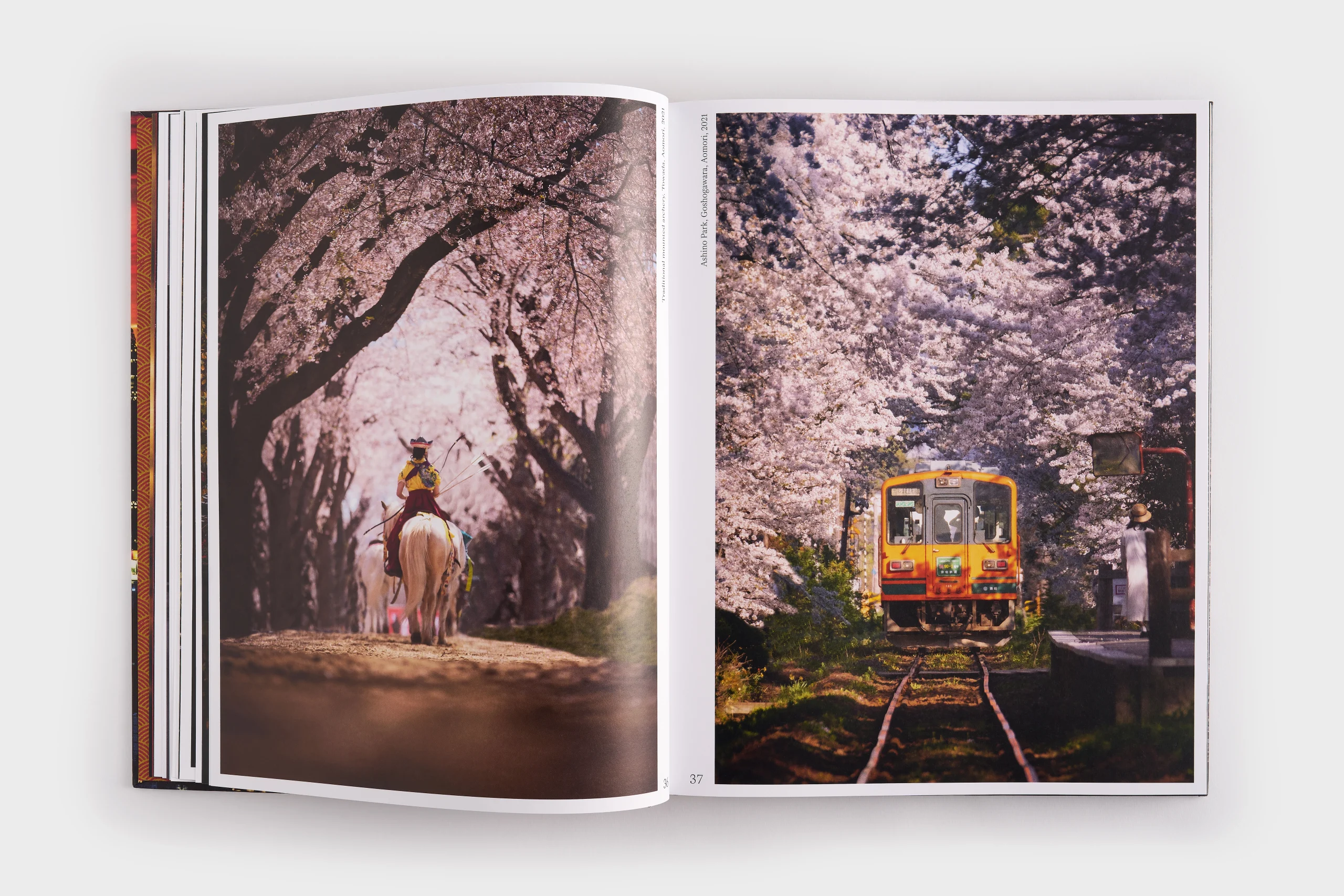Japan Yuto Yamada Fotoğraf Sanat Kitabı - Görsel 5