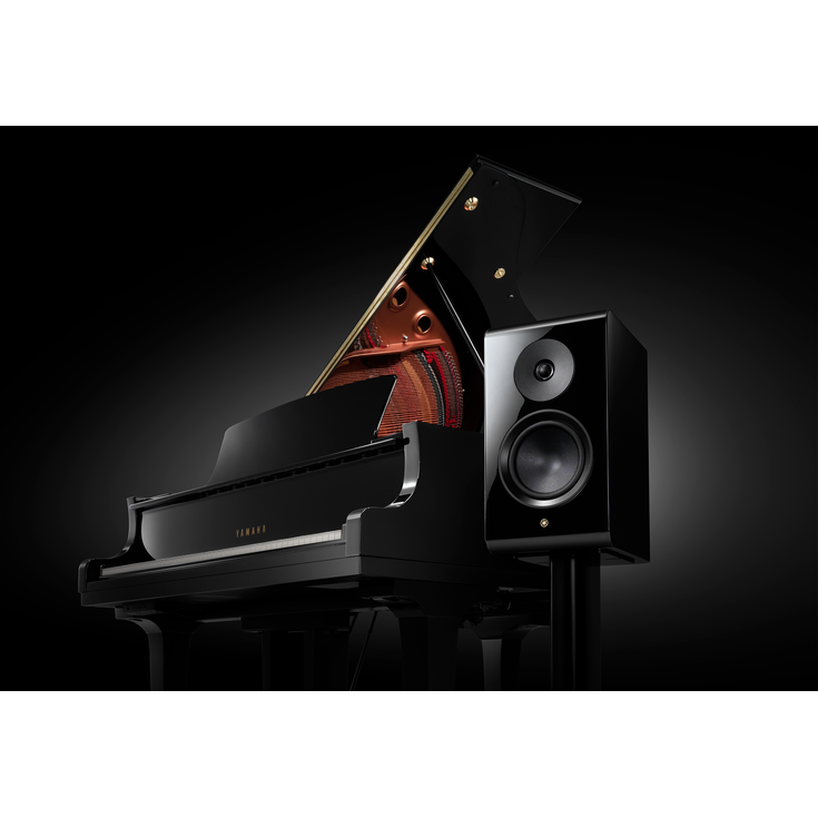 Yamaha NS-800A Kitaplık Hoparlör - Görsel 4